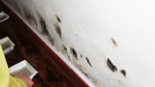 Person inspecting mold in home